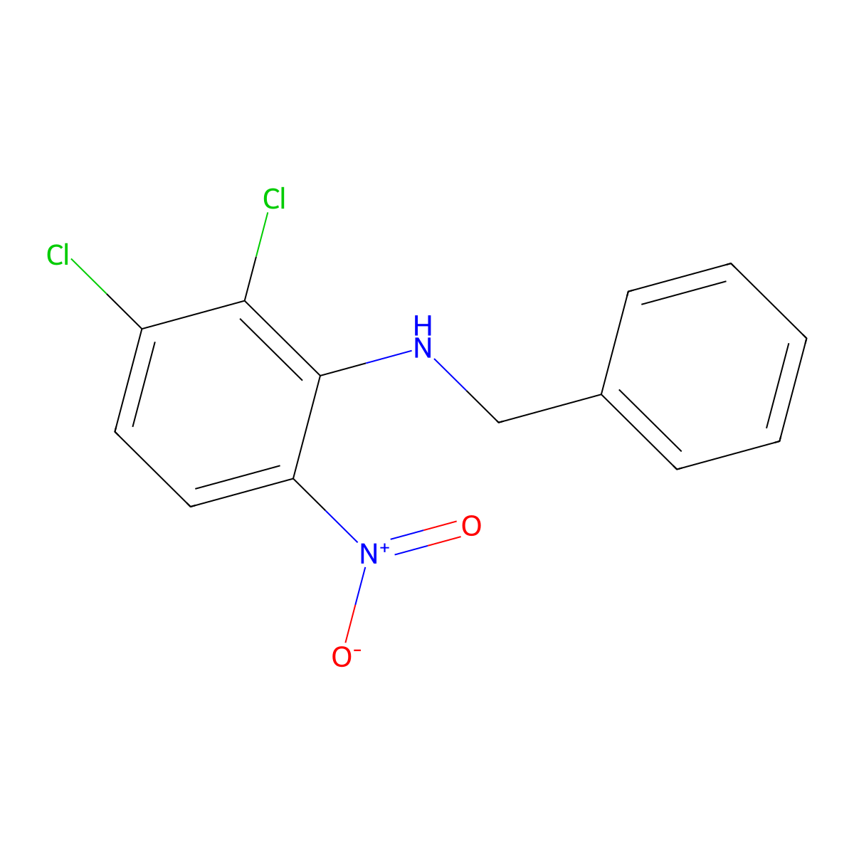 N-benzyl-2,3-dichloro-6-nitroaniline molecular structure, CAS 680212-51-5