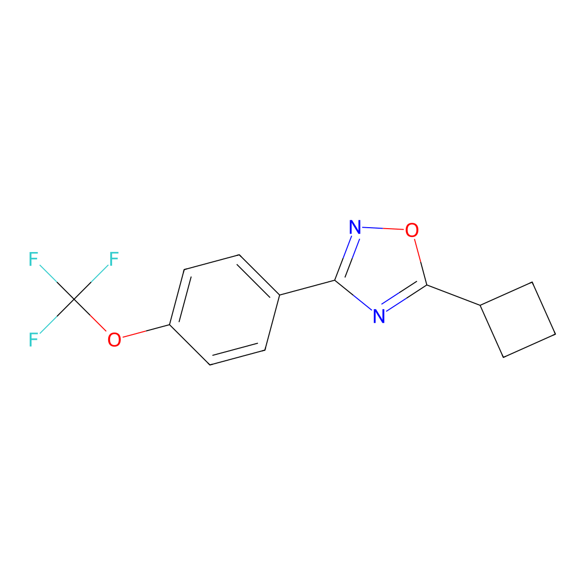 5-Cyclobutyl-3-[4-(trifluoromethoxy)phenyl]-1,2,4-oxadiazole molecular structure, CAS 680216-02-8
