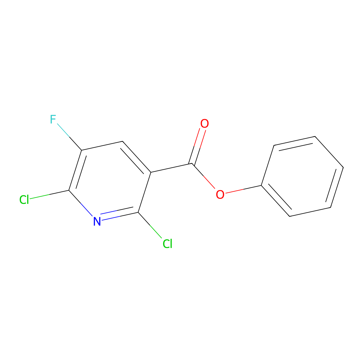 Phenyl 2,6-dichloro-5-fluoronicotinate molecular structure, CAS 680217-90-7