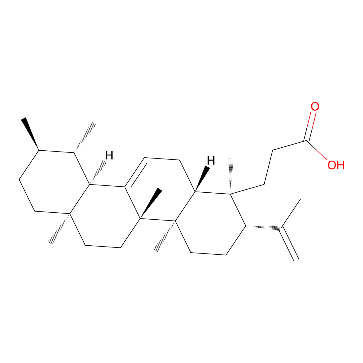 Roburic Acid molecular structure, CAS 6812-81-3