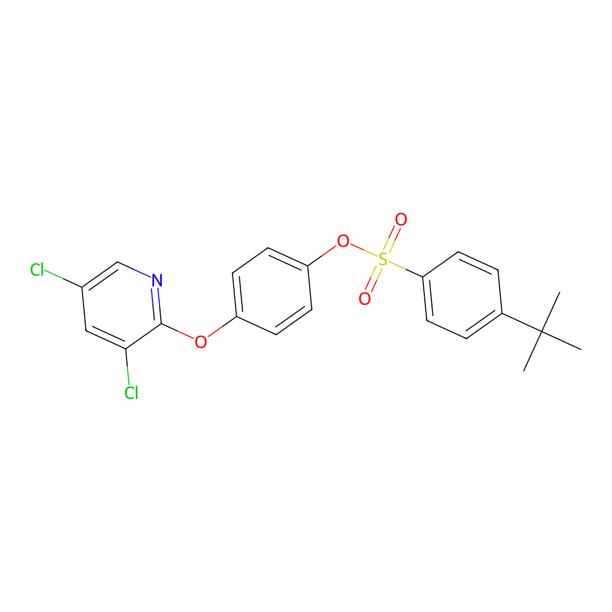 4-[(3,5-Dichloropyridin-2-yl)oxy]phenyl 4-tert-butylbenzenesulfonate molecular structure, CAS 681844-10-0