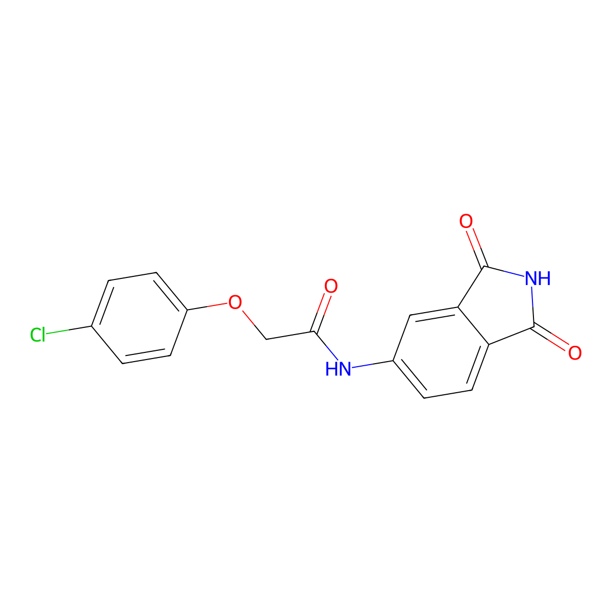 2-(4-chlorophenoxy)-N-(1,3-dioxoisoindolin-5-yl)acetamide molecular structure, CAS 683235-51-0