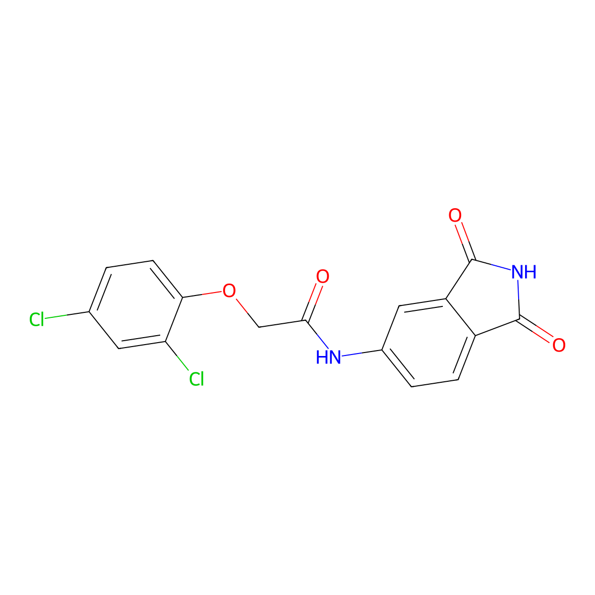 2-(2,4-dichlorophenoxy)-N-(1,3-dioxoisoindol-5-yl)acetamide molecular structure, CAS 683235-52-1