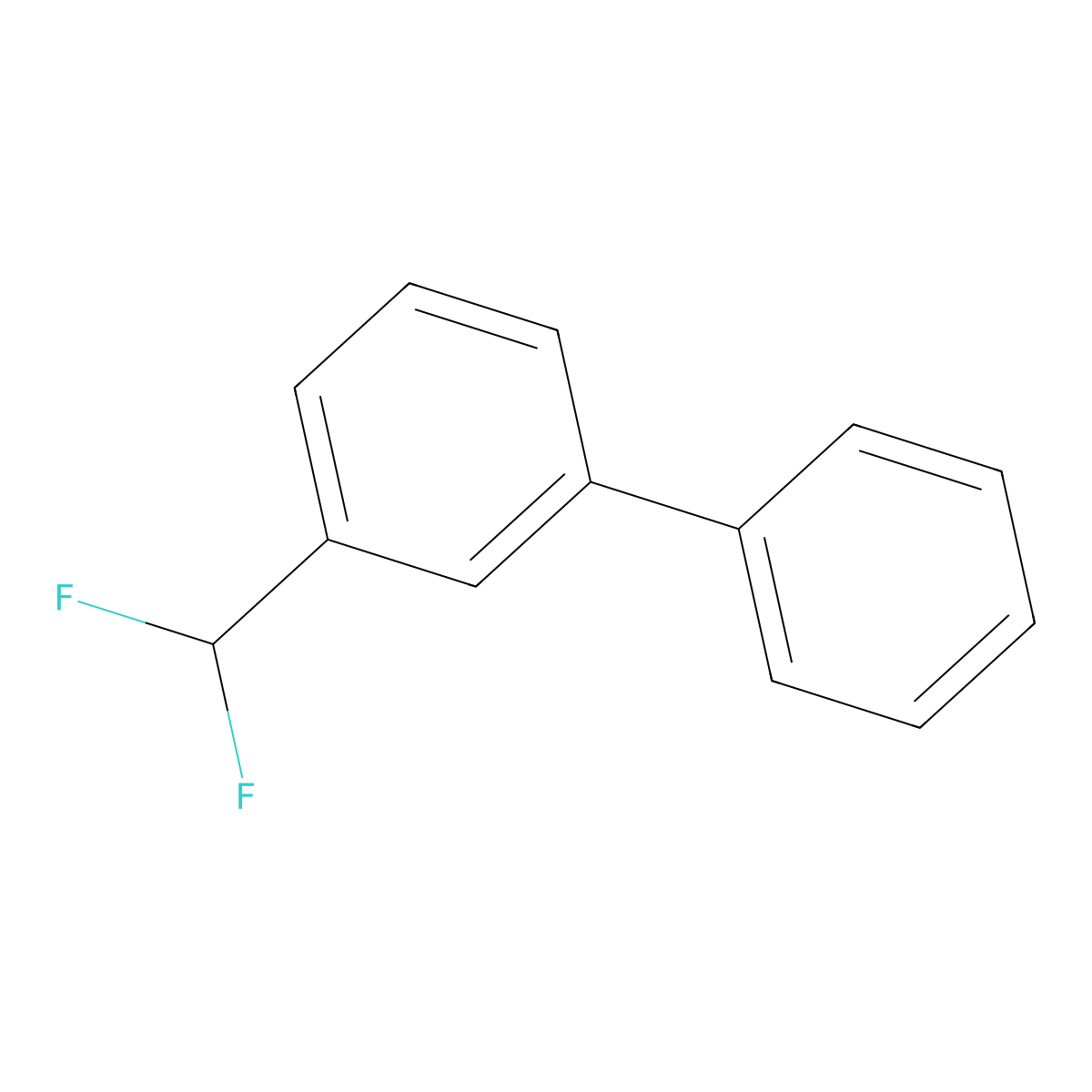 3-(Difluoromethyl)-1,1'-biphenyl molecular structure, CAS 683816-28-6