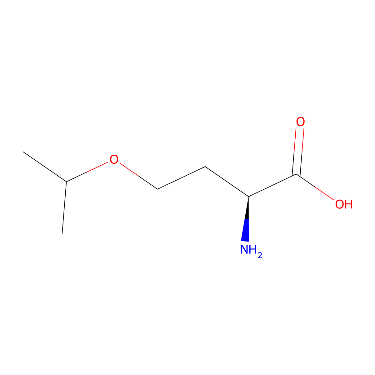 (2S)-2-amino-4-(propan-2-yloxy)butanoic acid molecular structure, CAS 685842-10-8
