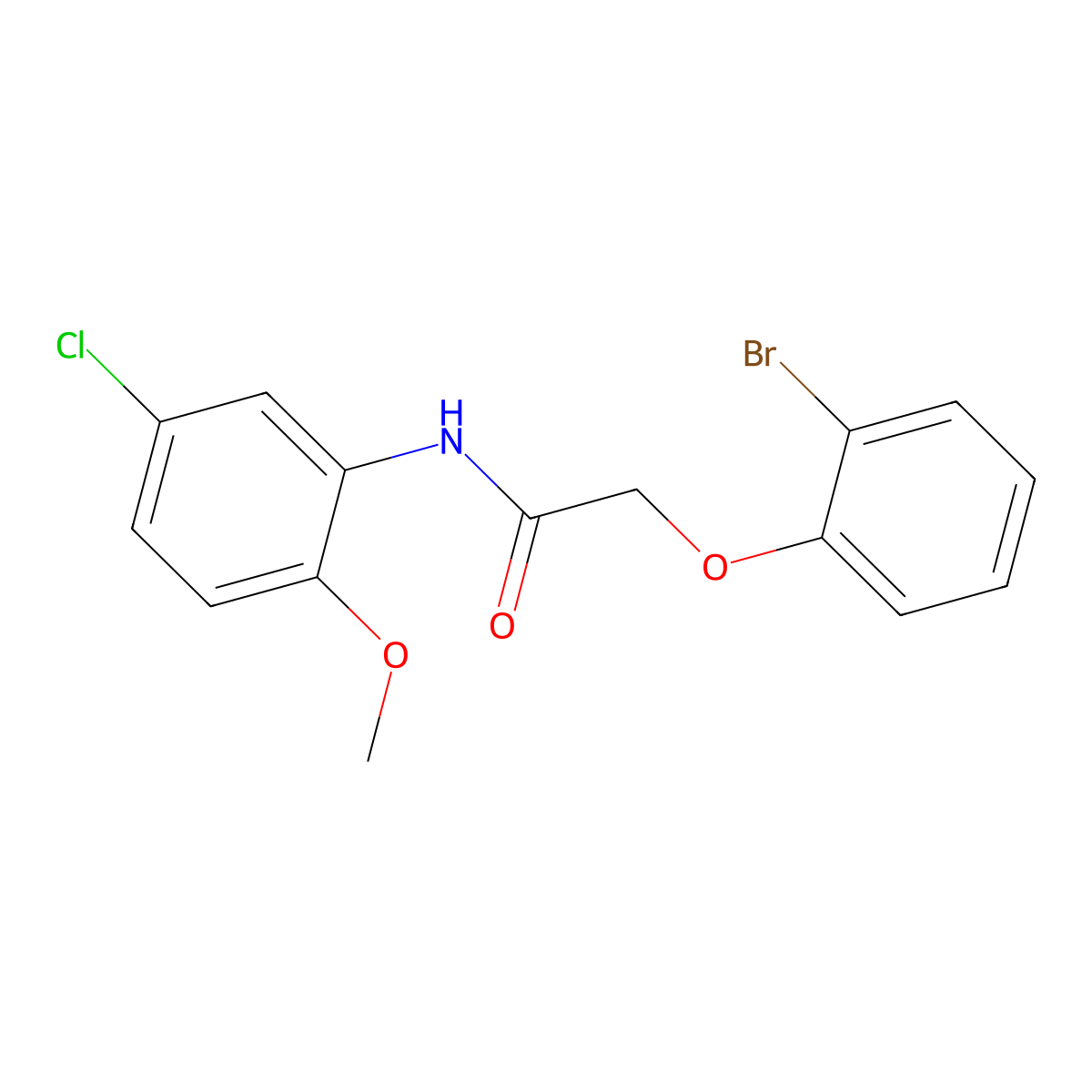 2-(2-bromophenoxy)-N-(5-chloro-2-methoxyphenyl)acetamide molecular structure, CAS 685844-53-5