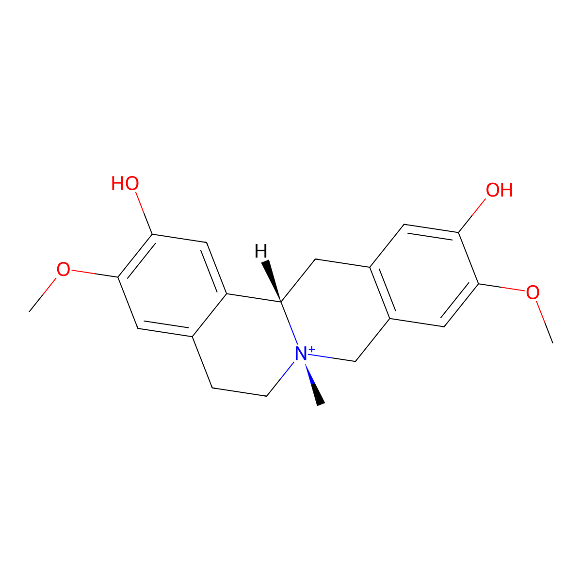 Phellodendrine molecular structure, CAS 6873-13-8