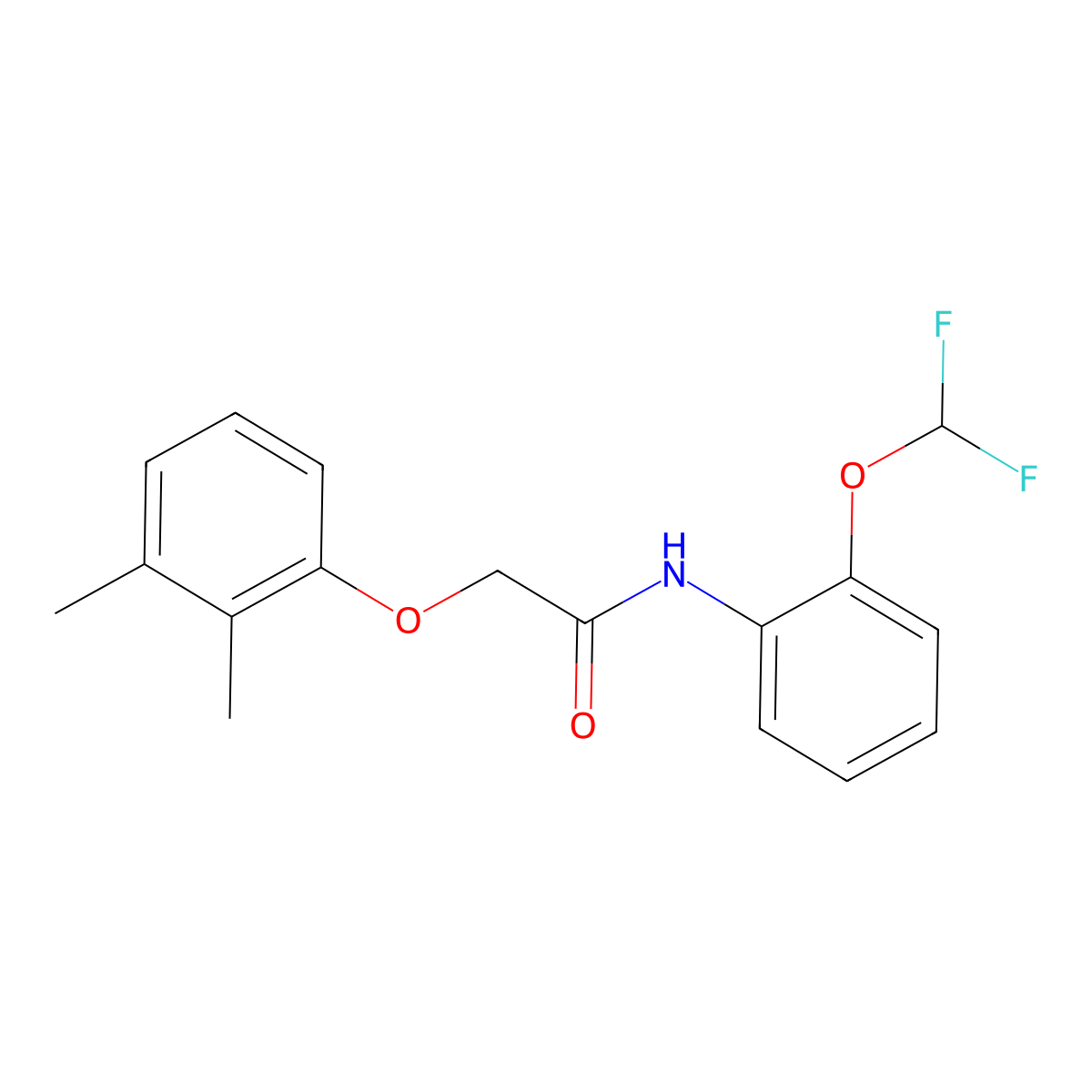 N-[2-(difluoromethoxy)phenyl]-2-(2,3-dimethylphenoxy)acetamide molecular structure, CAS 690219-42-2