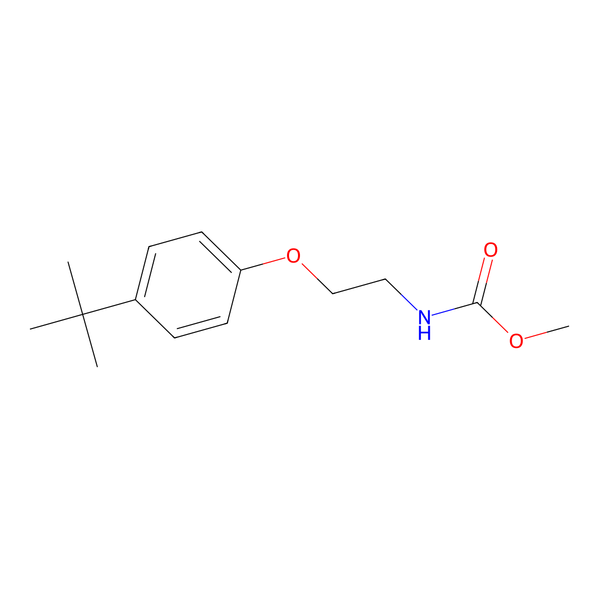 Methyl [2-(4-tert-butylphenoxy)ethyl]carbamate molecular structure, CAS 690668-81-6