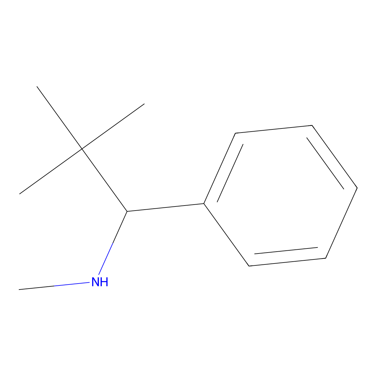 (2,2-Dimethyl-1-phenylpropyl)(methyl)amine molecular structure, CAS 69187-61-7