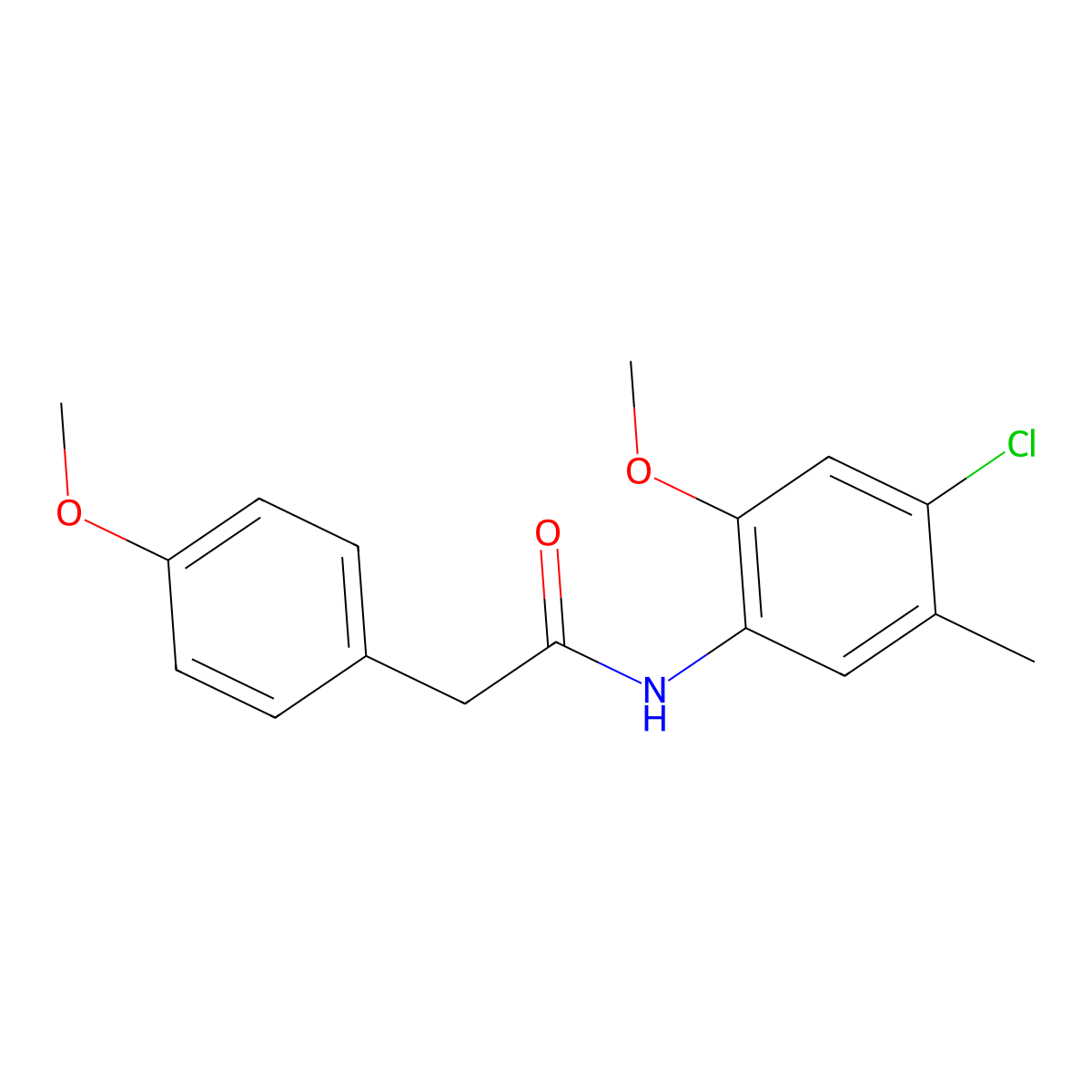 N-(4-chloro-2-methoxy-5-methylphenyl)-2-(4-methoxyphenyl)acetamide molecular structure, CAS 692279-42-8