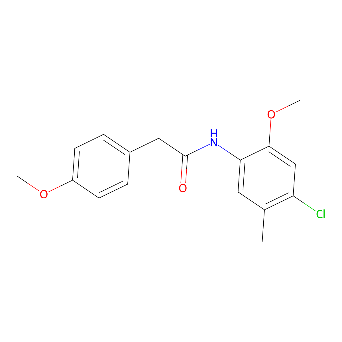 N-(4-chloro-2-methoxy-5-methylphenyl)-2-(4-methoxyphenyl)acetamide molecular structure, CAS 692279-42-8