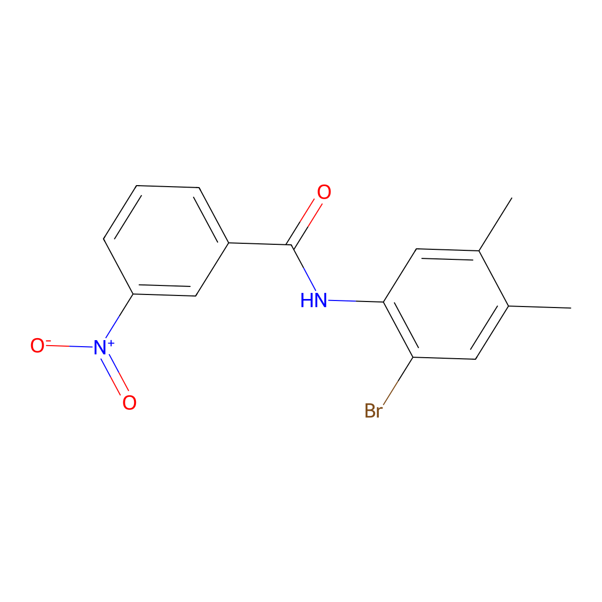 N-(2-bromo-4,5-dimethylphenyl)-3-nitrobenzamide molecular structure, CAS 692283-75-3