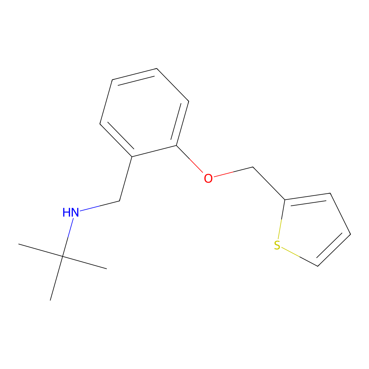 2-methyl-N-[[2-(thiophen-2-ylmethoxy)phenyl]methyl]propan-2-amine molecular structure, CAS 692773-92-5