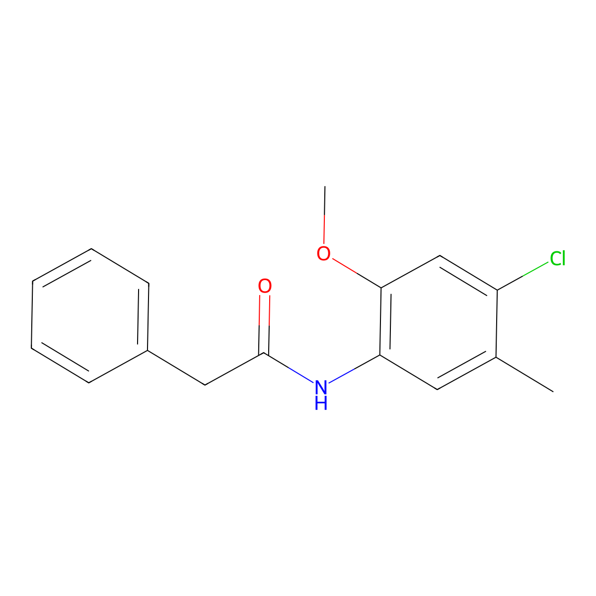 N-(4-chloro-2-methoxy-5-methylphenyl)-2-phenylacetamide molecular structure, CAS 693241-55-3