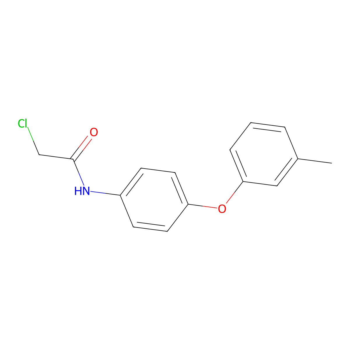 2-Chloro-N-[4-(3-methylphenoxy)phenyl]acetamide molecular structure, CAS 69838-52-4