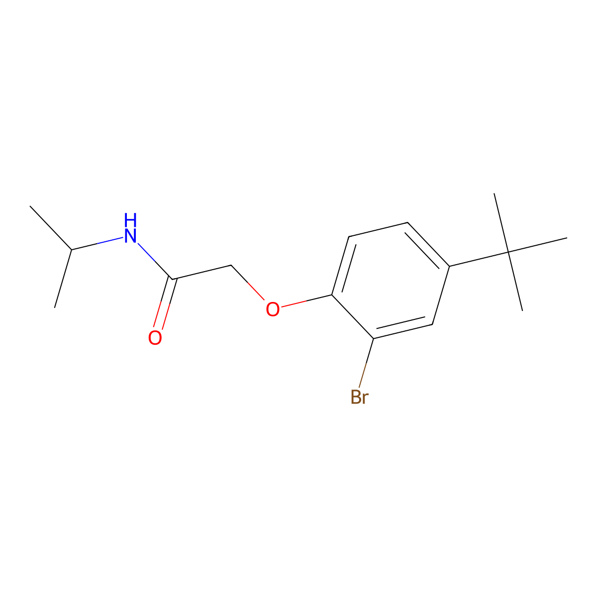 2-(2-bromo-4-tert-butylphenoxy)-N-propan-2-ylacetamide molecular structure, CAS 701231-09-6