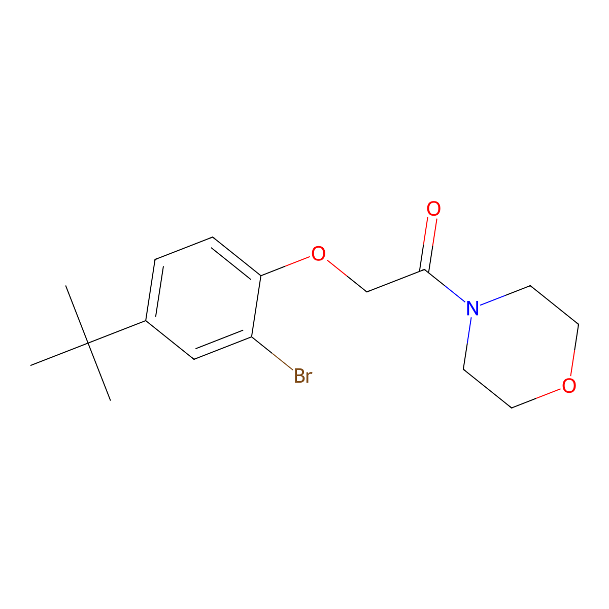 2-(2-Bromo-4-tert-butylphenoxy)-1-morpholin-4-ylethanone molecular structure, CAS 701238-44-0