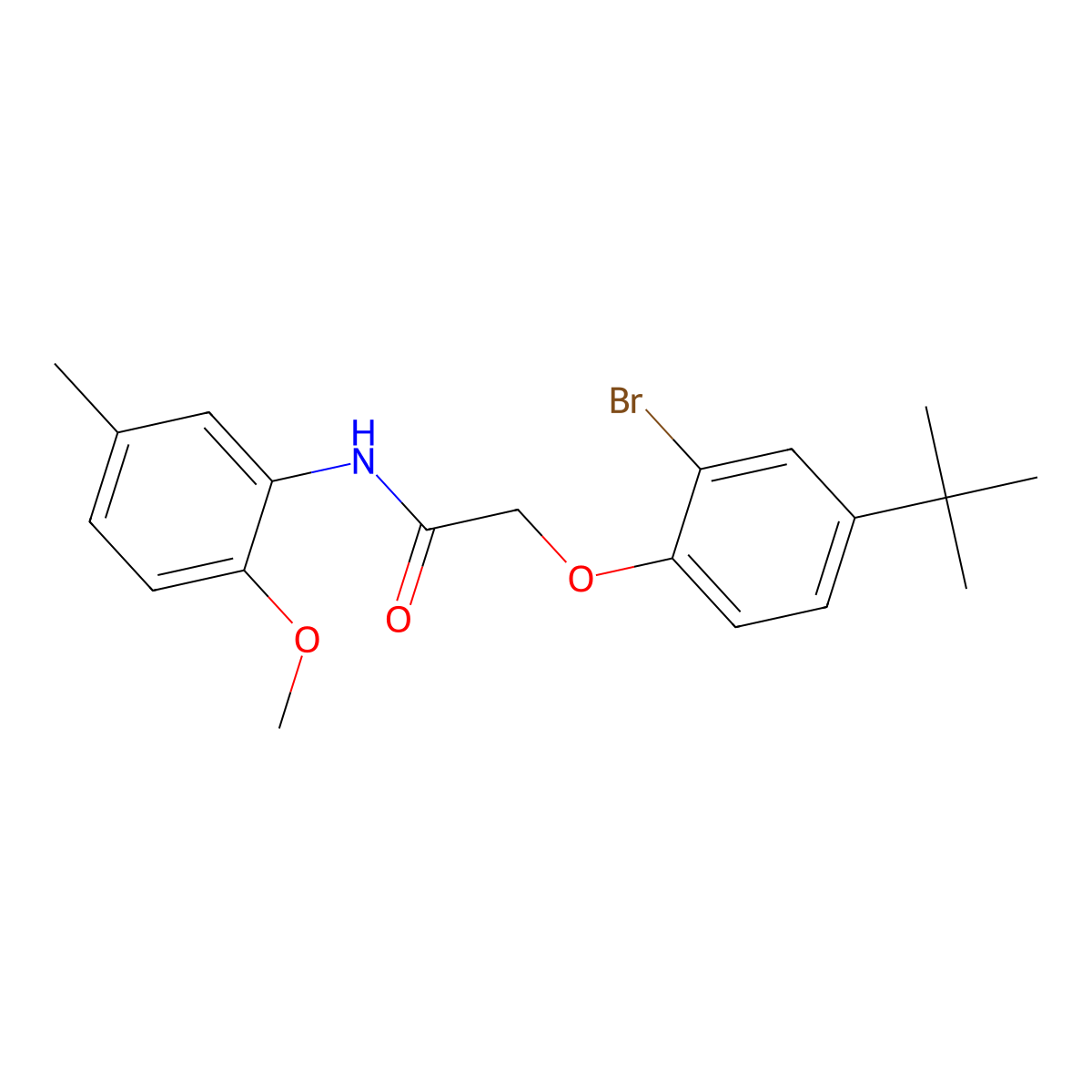 2-(2-bromo-4-tert-butylphenoxy)-N-(2-methoxy-5-methylphenyl)acetamide molecular structure, CAS 701240-10-0