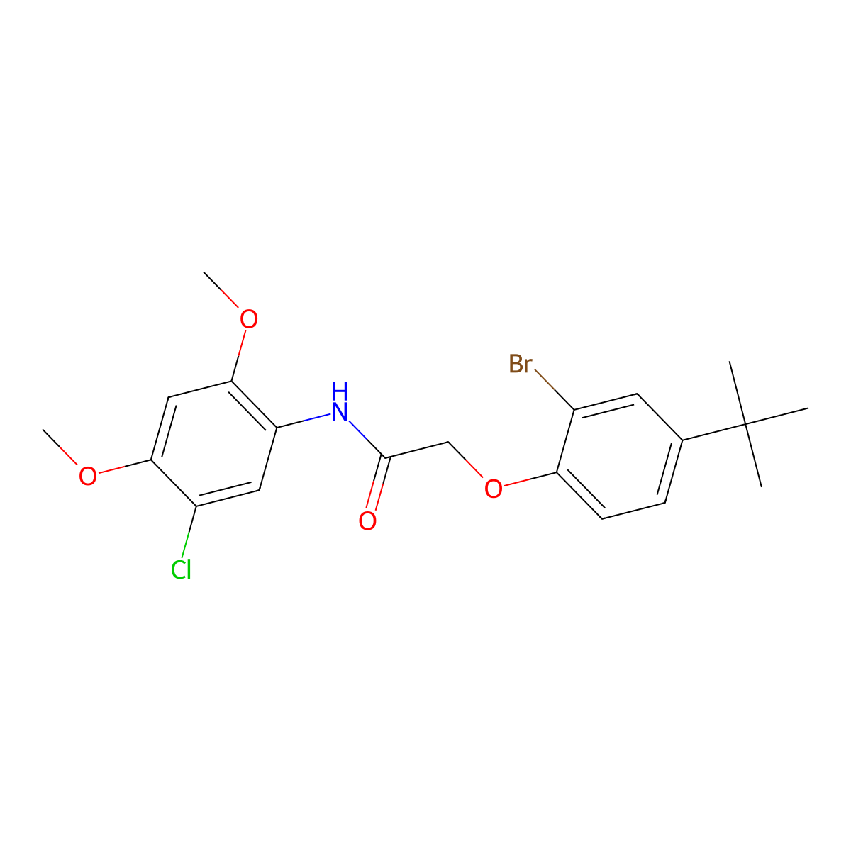 2-(2-bromo-4-tert-butylphenoxy)-N-(5-chloro-2,4-dimethoxyphenyl)acetamide molecular structure, CAS 701240-93-9