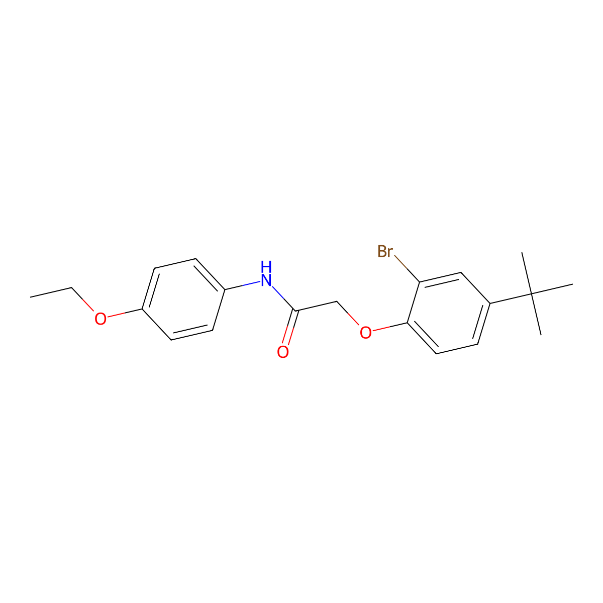 2-(2-bromo-4-tert-butylphenoxy)-N-(4-ethoxyphenyl)acetamide molecular structure, CAS 701241-58-9