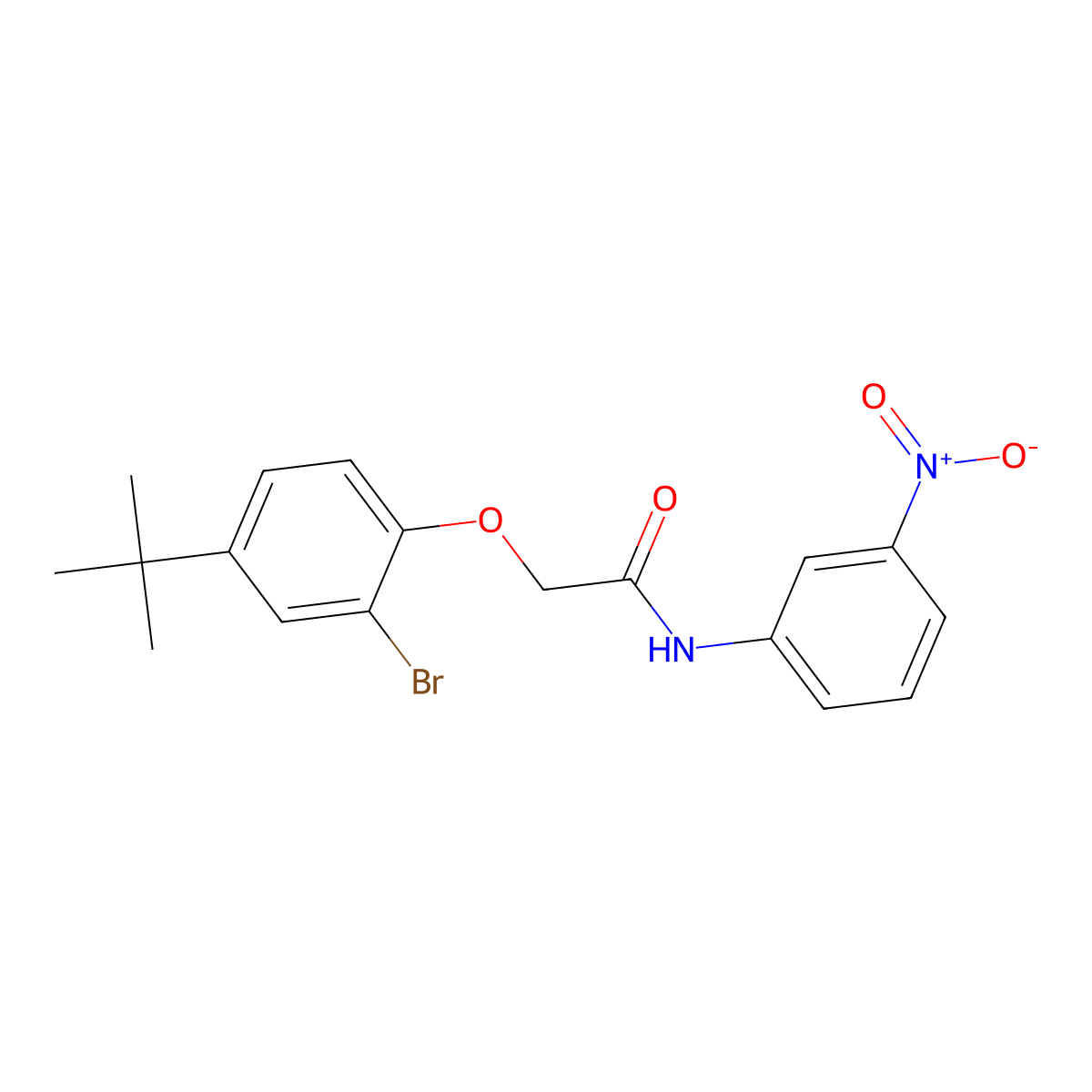 2-(2-bromo-4-tert-butylphenoxy)-N-(3-nitrophenyl)acetamide molecular structure, CAS 701246-74-4