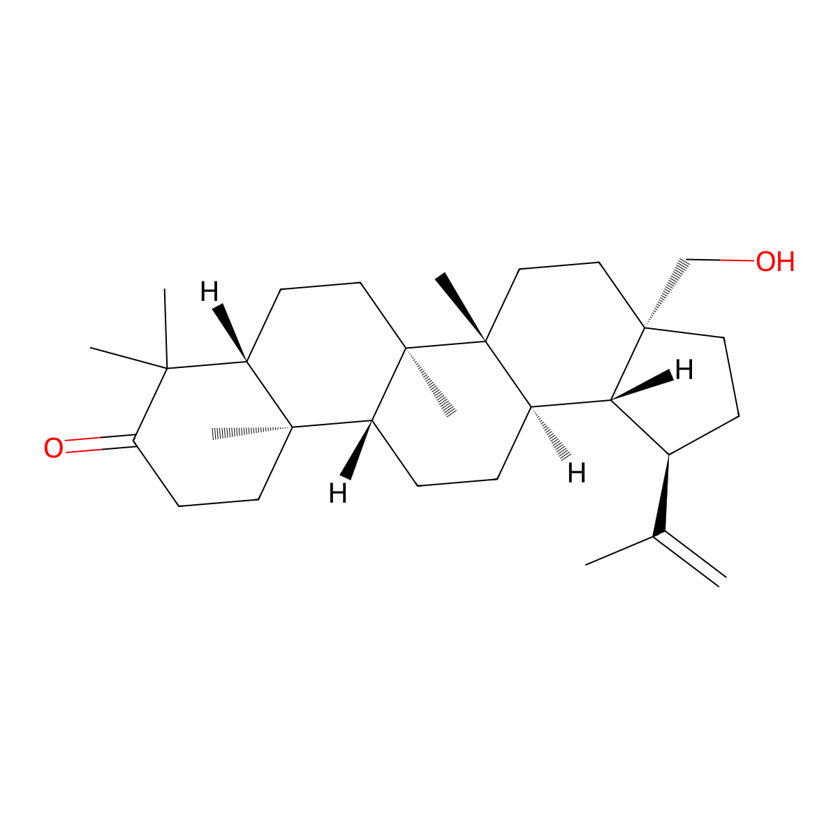 Betulone molecular structure, CAS 7020-34-0