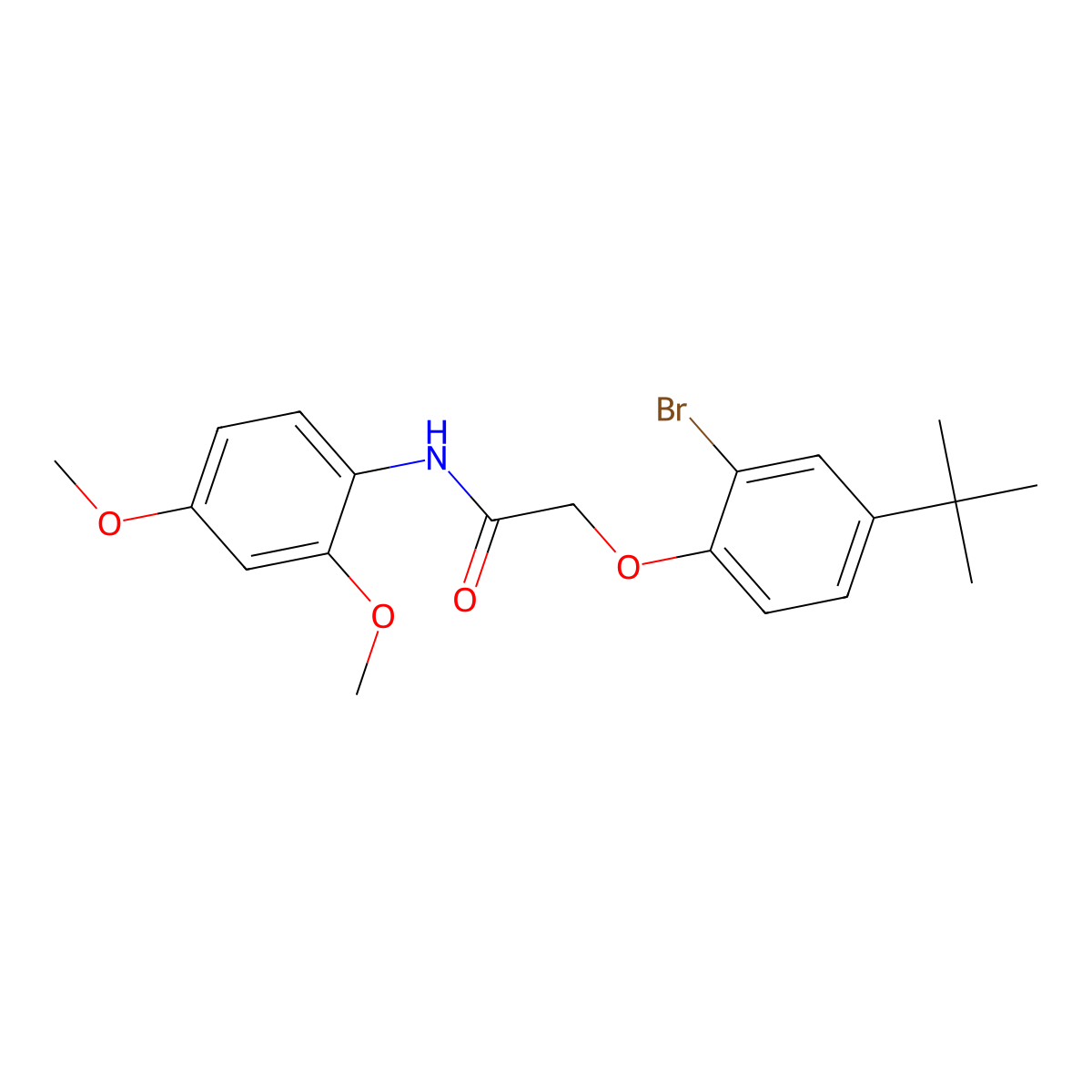2-(2-bromo-4-tert-butylphenoxy)-N-(2,4-dimethoxyphenyl)acetamide molecular structure, CAS 702649-35-2
