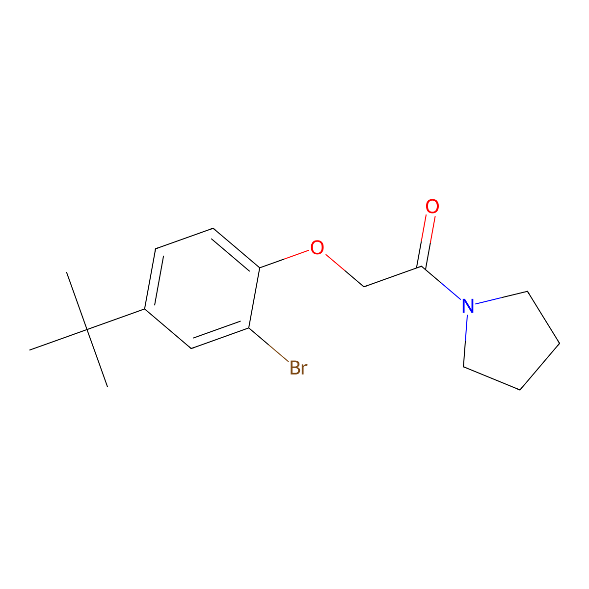 2-(2-Bromo-4-tert-butylphenoxy)-1-pyrrolidin-1-ylethanone molecular structure, CAS 702649-68-1