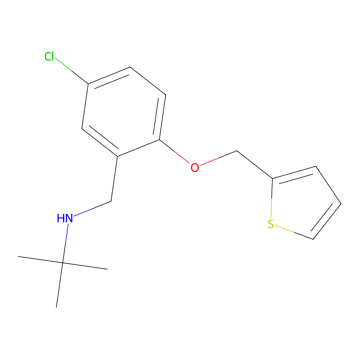 N-[5-chloro-2-(thiophen-2-ylmethoxy)benzyl]-2-methylpropan-2-amine molecular structure, CAS 705269-11-0