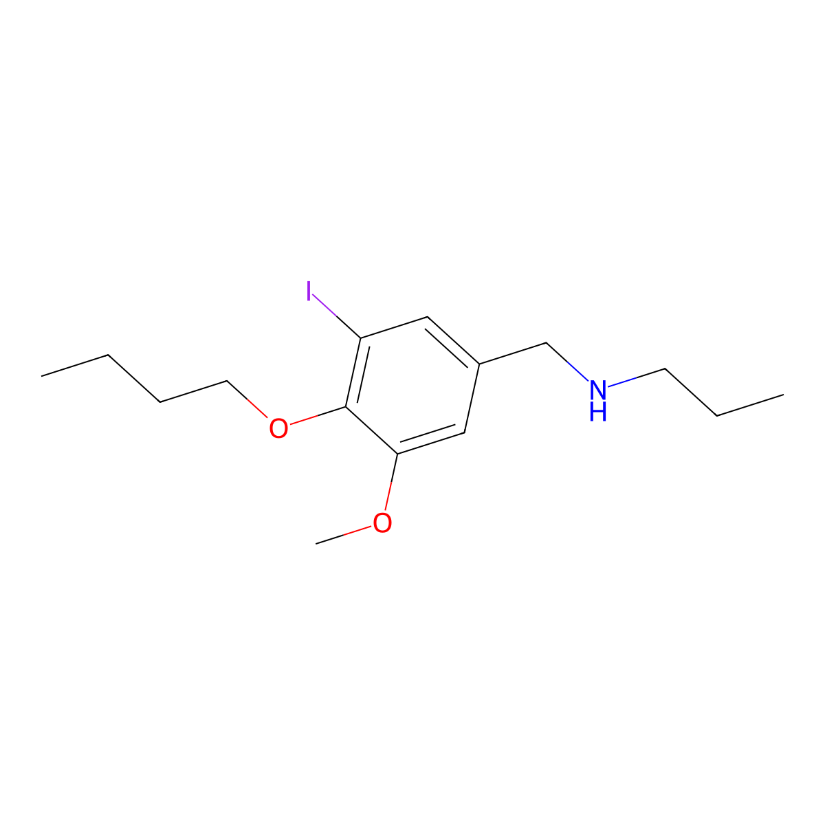 N-(4-butoxy-3-iodo-5-methoxybenzyl)-N-propylamine molecular structure, CAS 708293-36-1