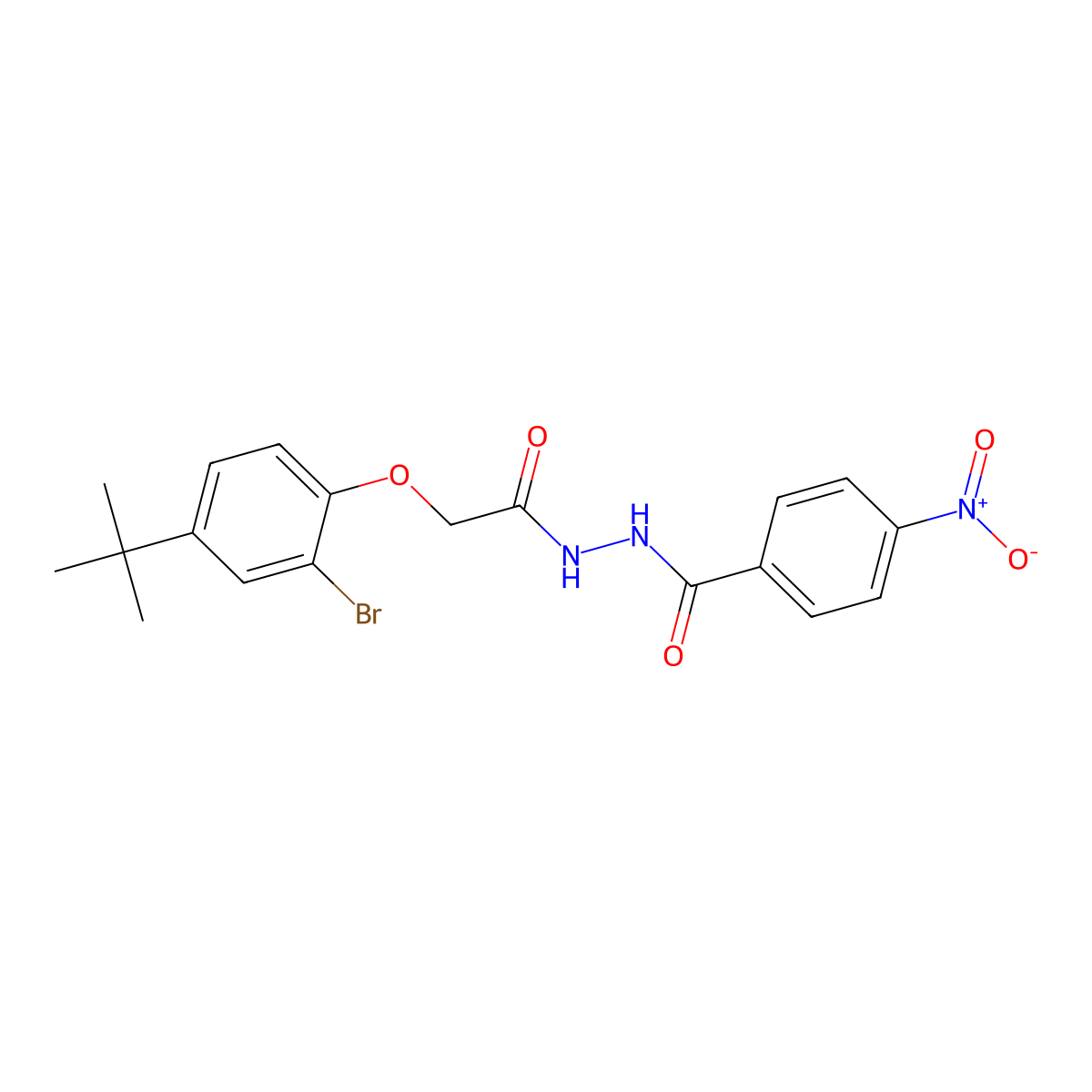 N'-[(2-bromo-4-tert-butylphenoxy)acetyl]-4-nitrobenzohydrazide molecular structure, CAS 712317-91-4