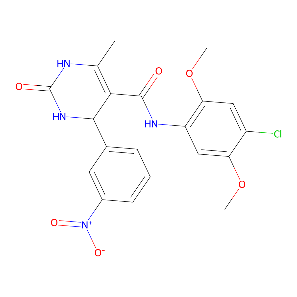 N-(4-chloro-2,5-dimethoxyphenyl)-6-methyl-4-(3-nitrophenyl)-2-oxo-3,4-dihydro-1H-pyrimidine-5-carboxamide molecular structure, CAS 713095-58-0