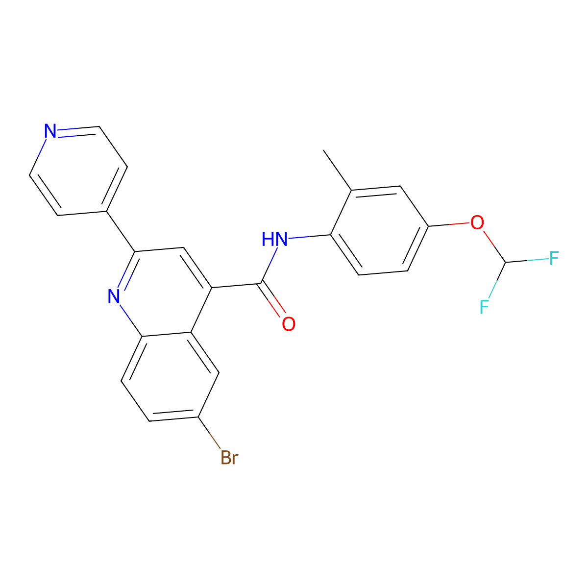 6-bromo-N-[4-(difluoromethoxy)-2-methylphenyl]-2-pyridin-4-ylquinoline-4-carboxamide molecular structure, CAS 713489-46-4