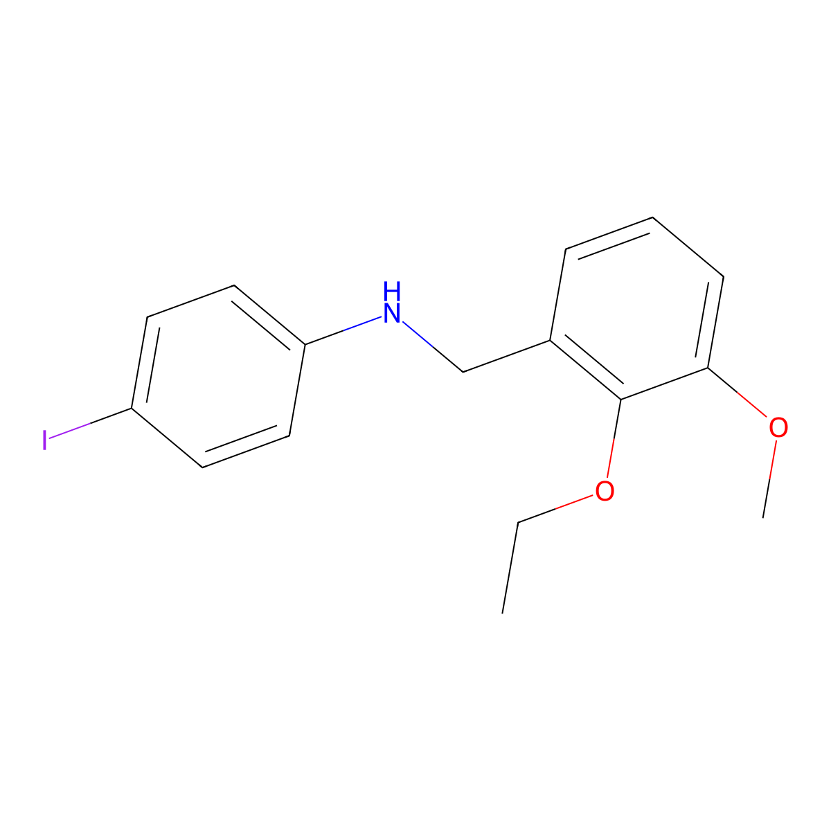 N-[(2-ethoxy-3-methoxyphenyl)methyl]-4-iodoaniline molecular structure, CAS 717829-38-4