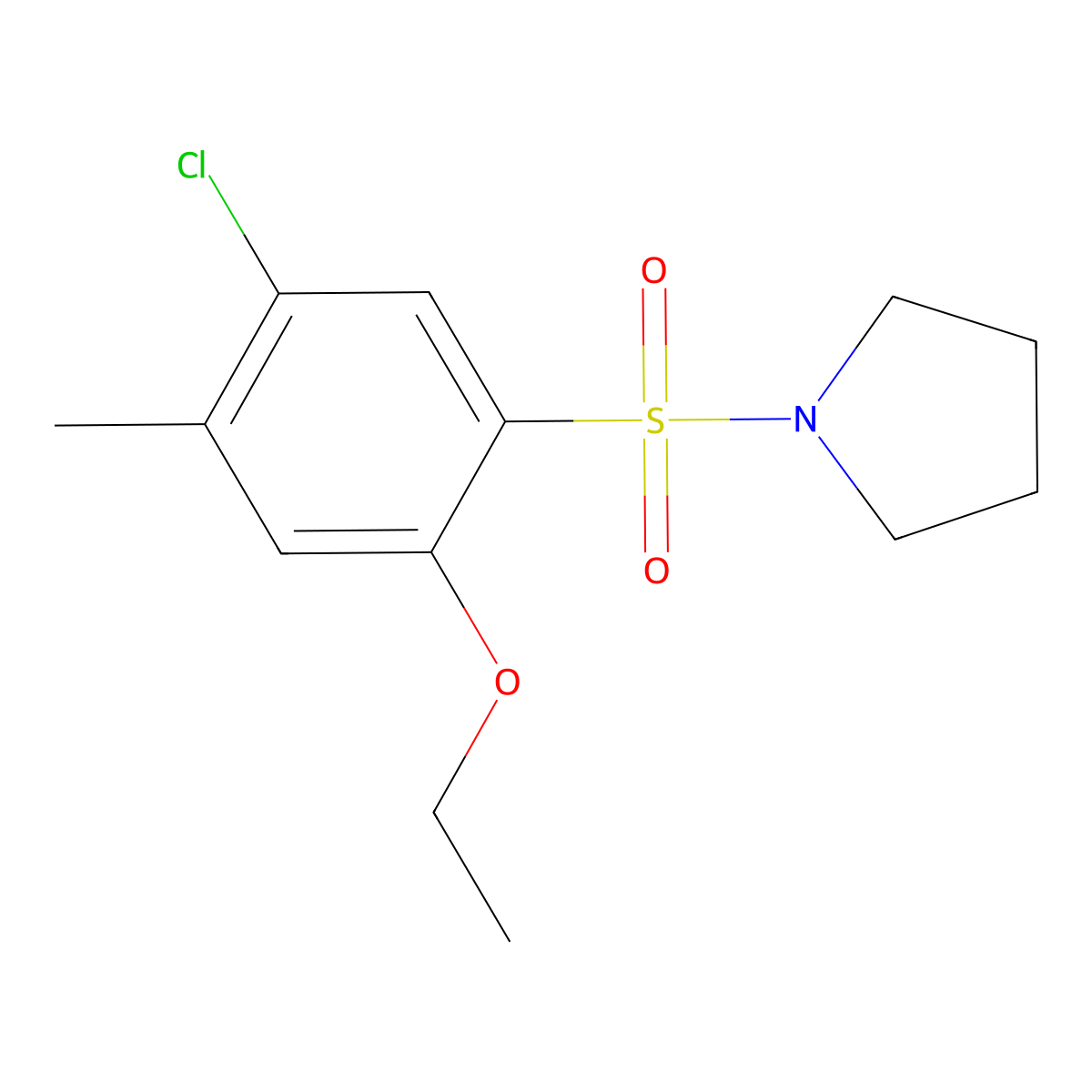 1-(5-Chloro-2-ethoxy-4-methylbenzenesulfonyl)pyrrolidine molecular structure, CAS 717863-63-3