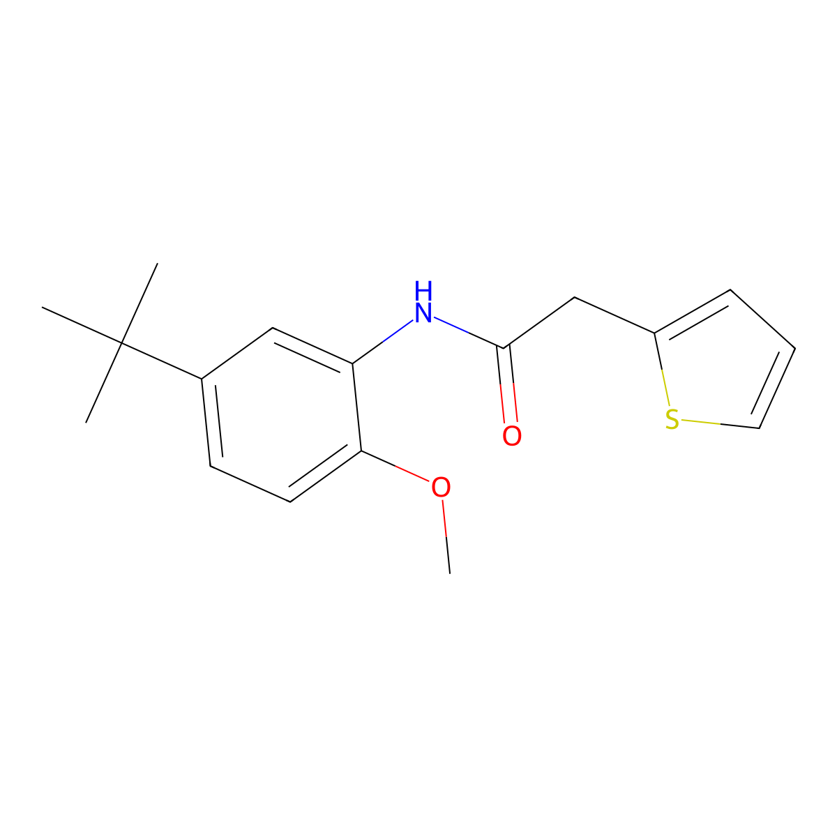 N-(5-tert-butyl-2-methoxyphenyl)-2-thiophen-2-ylacetamide molecular structure, CAS 717871-11-9