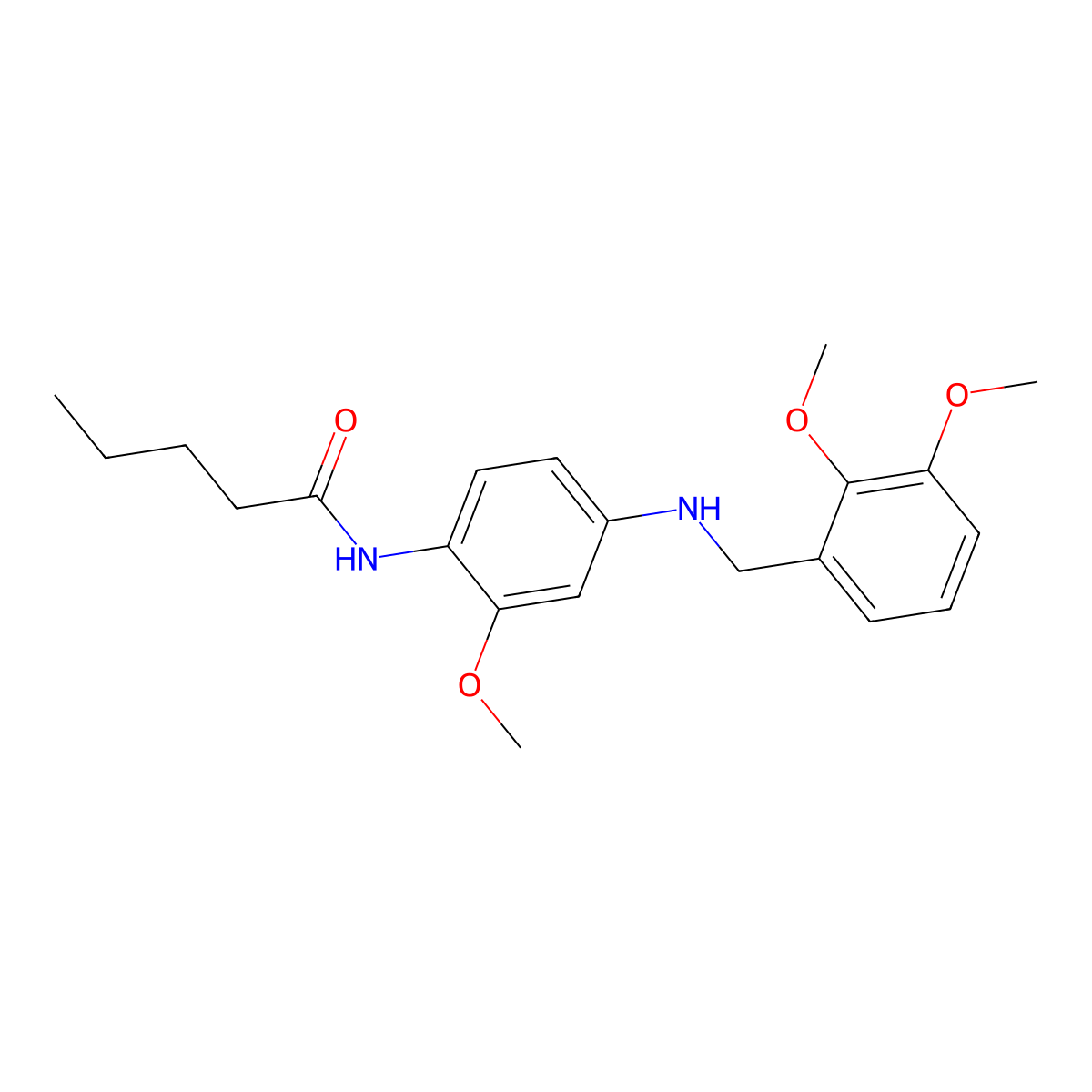 N-{4-[(2,3-dimethoxybenzyl)amino]-2-methoxyphenyl}pentanamide molecular structure, CAS 717894-01-4