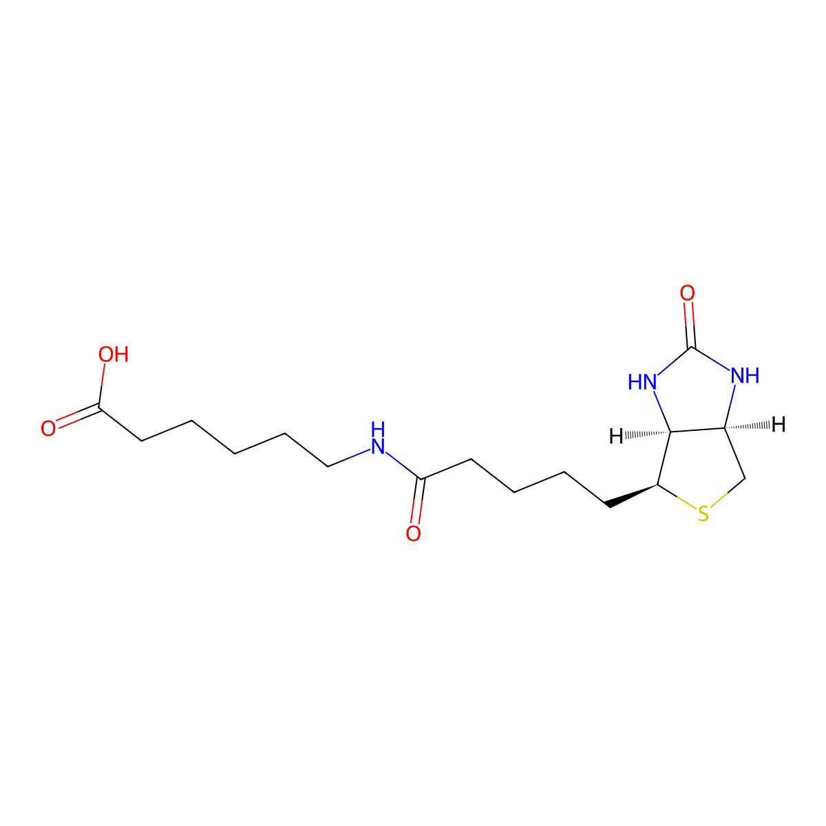 6-[5-(2-Oxo-Hexahydro-Thieno[3,4-D]Imidazol-4-Yl)-Pentanoylamino]-Hexanoic Acid molecular structure, CAS 72040-64-3