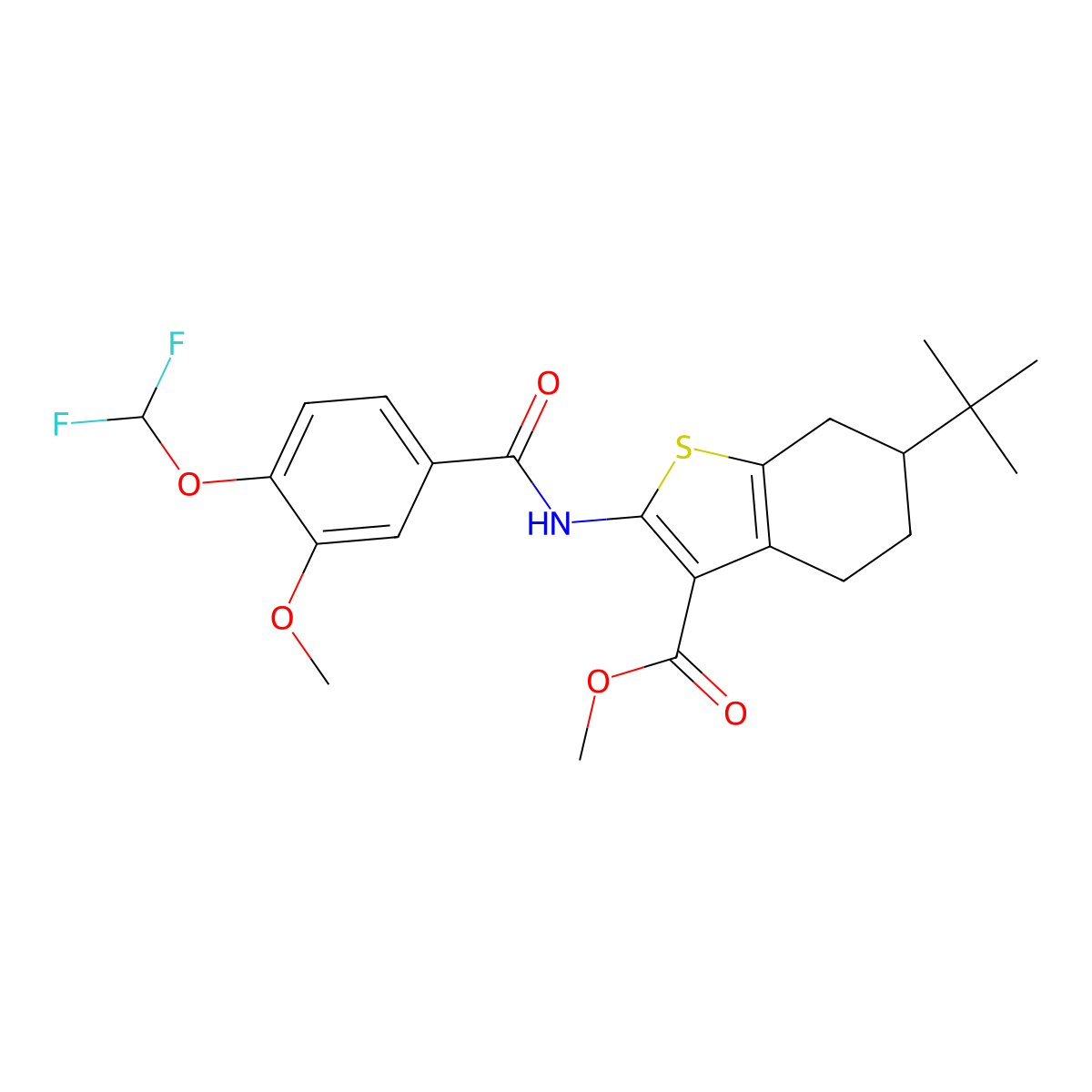 Methyl 6-tert-butyl-2-[[4-(difluoromethoxy)-3-methoxybenzoyl]amino]-4,5,6,7-tetrahydro-1-benzothiophene-3-carboxylate molecular structure, CAS 723252-72-0
