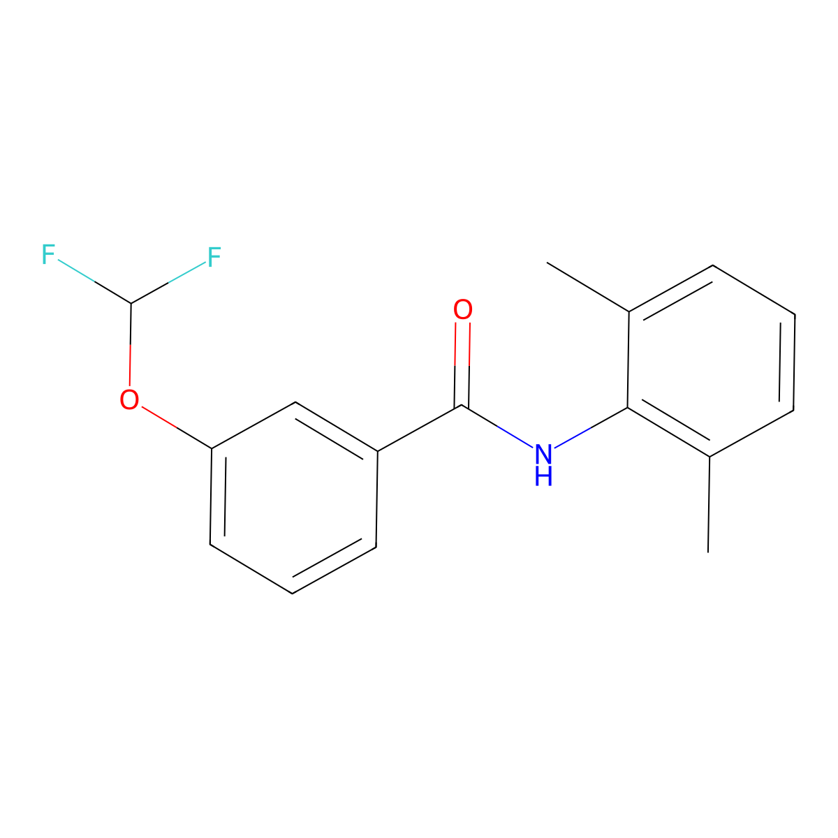 3-(difluoromethoxy)-N-(2,6-dimethylphenyl)benzamide molecular structure, CAS 723253-84-7