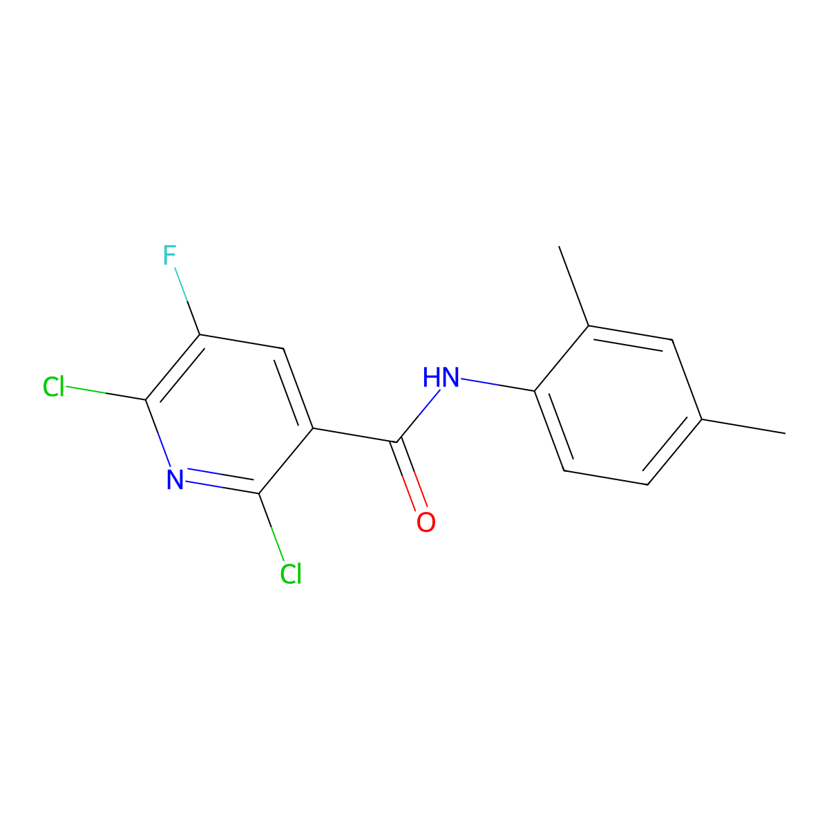 2,6-dichloro-N-(2,4-dimethylphenyl)-5-fluoronicotinamide molecular structure, CAS 724429-94-1