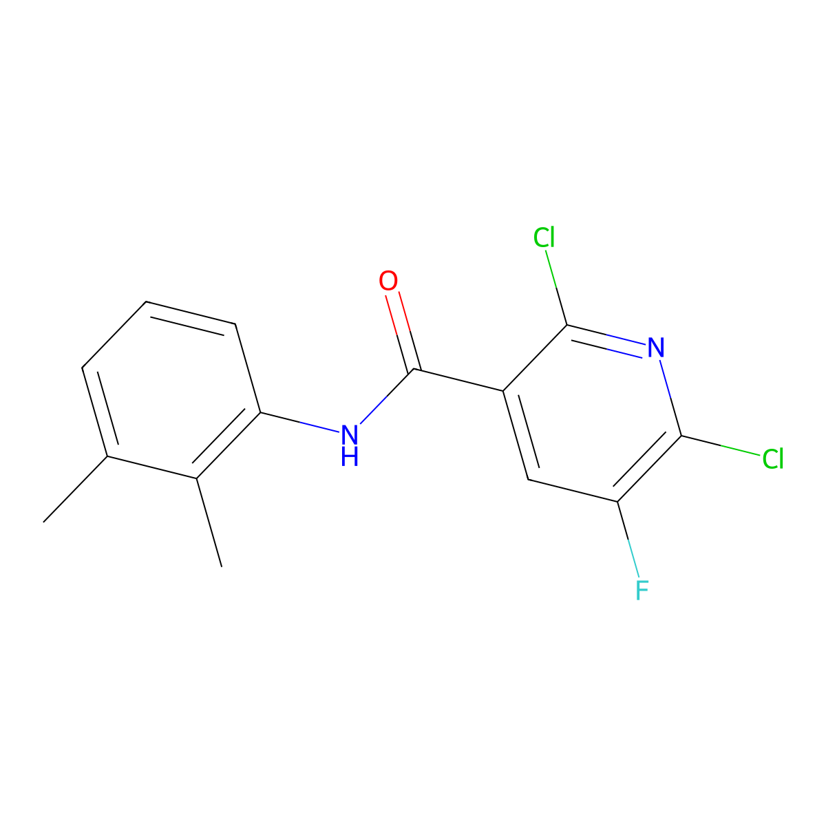 2,6-dichloro-N-(2,3-dimethylphenyl)-5-fluoronicotinamide molecular structure, CAS 724430-53-9