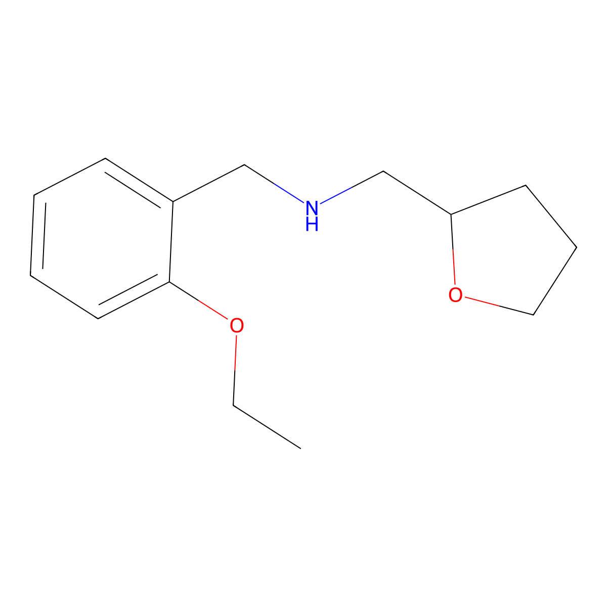 N-(2-Ethoxybenzyl)-1-(tetrahydrofuran-2-yl)methanamine molecular structure, CAS 725220-77-9