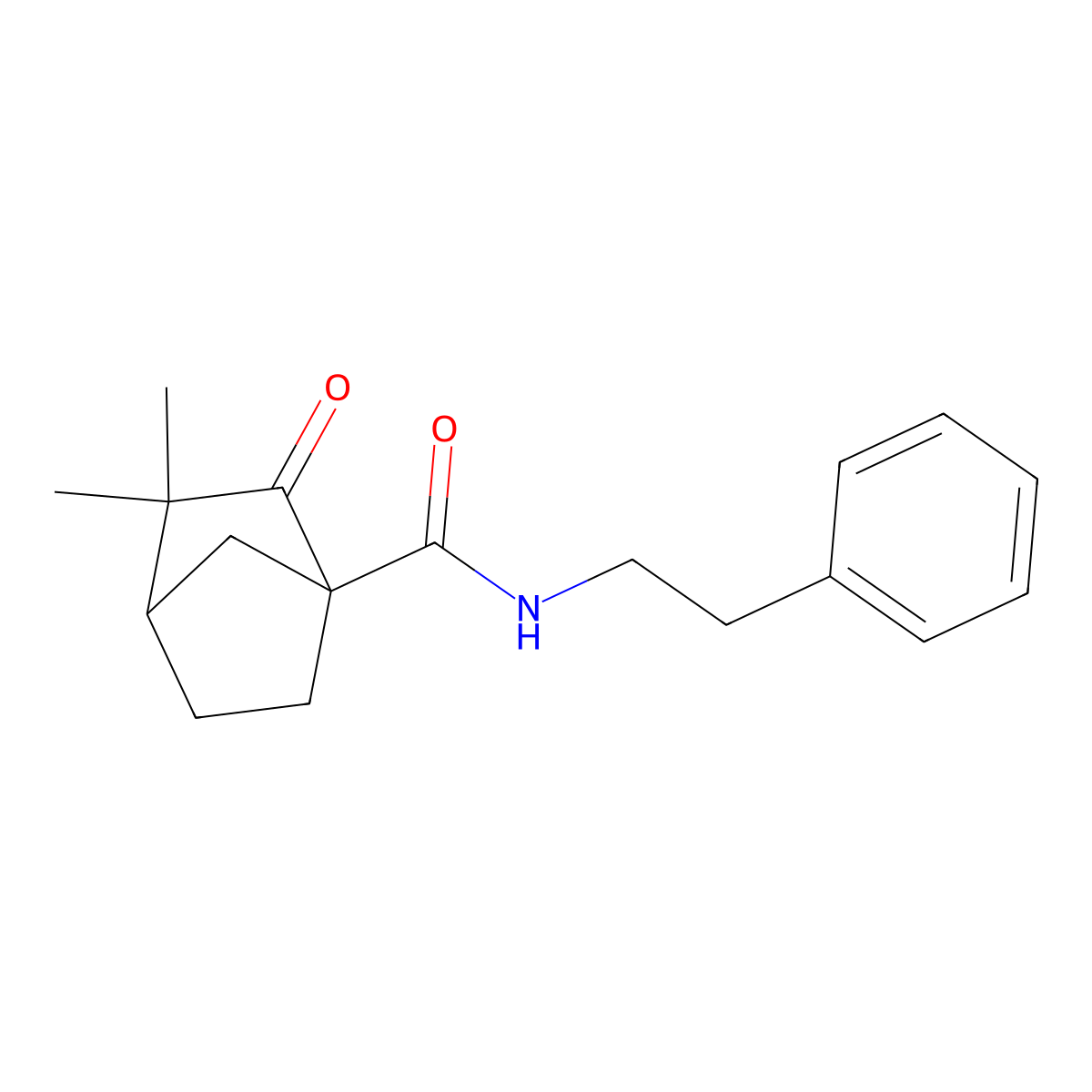 3,3-dimethyl-2-oxo-N-(2-phenylethyl)bicyclo[2.2.1]heptane-1-carboxamide molecular structure, CAS 725251-24-1
