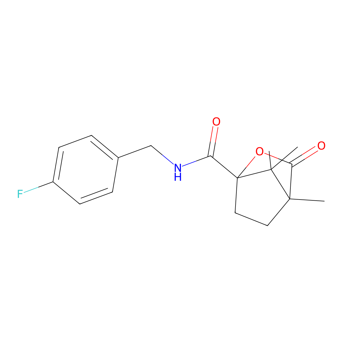 N-(4-fluorobenzyl)-4,7,7-trimethyl-3-oxo-2-oxabicyclo[2.2.1]heptane-1-carboxamide molecular structure, CAS 727685-99-6