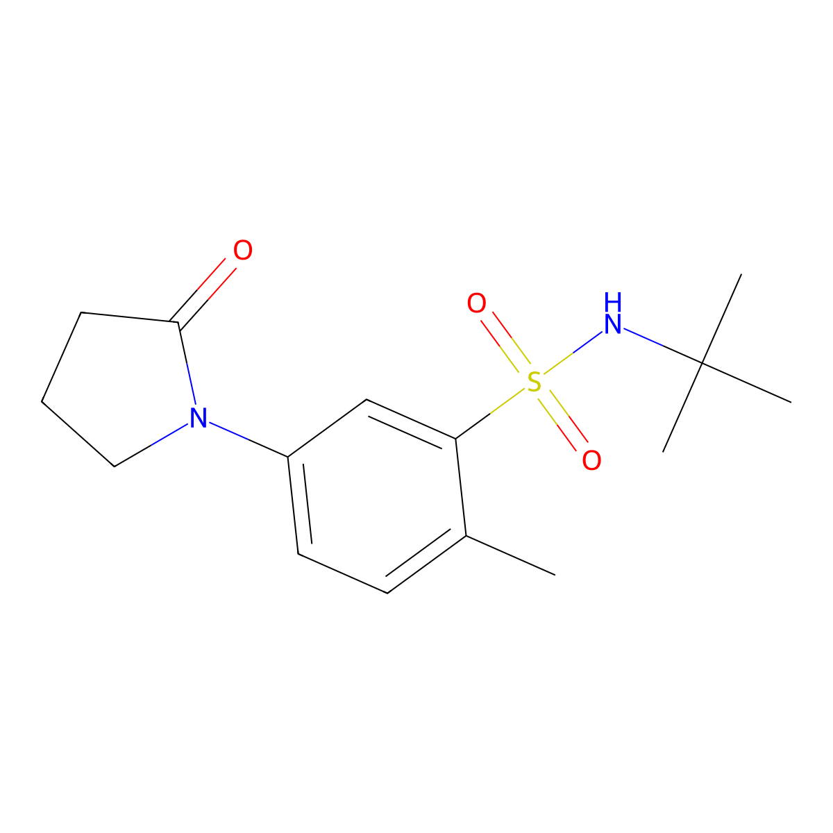 N-tert-butyl-2-methyl-5-(2-oxopyrrolidin-1-yl)benzenesulfonamide molecular structure, CAS 728027-39-2