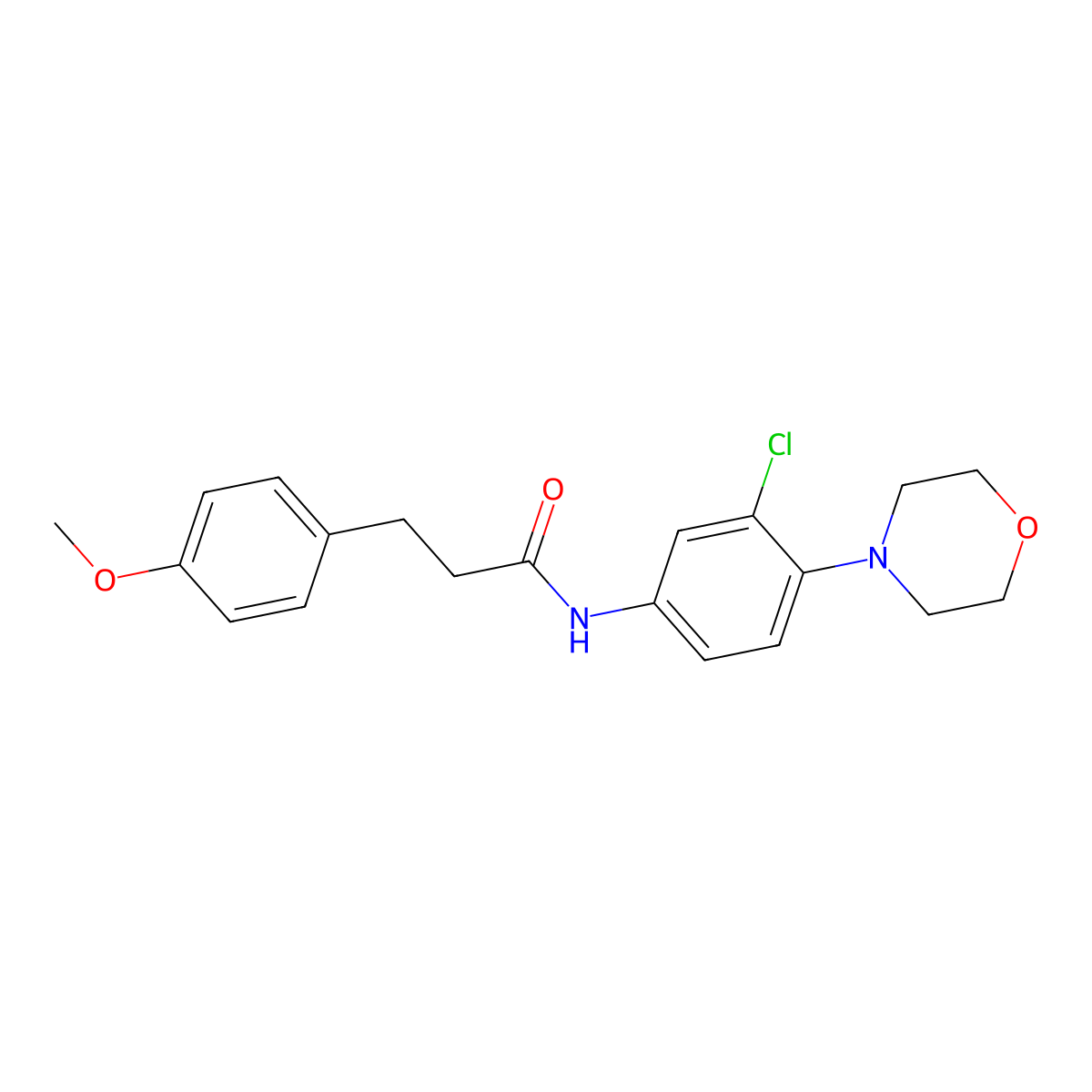 N-(3-chloro-4-morpholin-4-ylphenyl)-3-(4-methoxyphenyl)propanamide molecular structure, CAS 728888-74-2