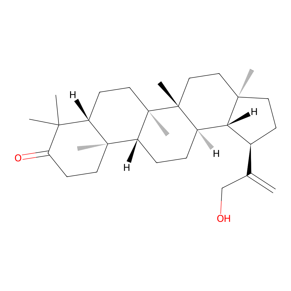 30-Hydroxylup-20(29)-en-3-one molecular structure, CAS 72944-06-0