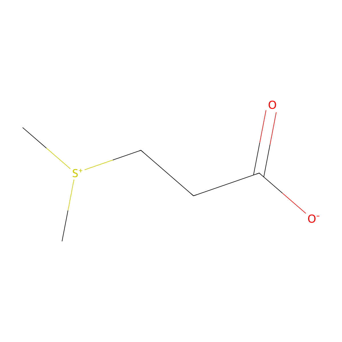 Dimethylsulfoniopropionate molecular structure, CAS 7314-30-9